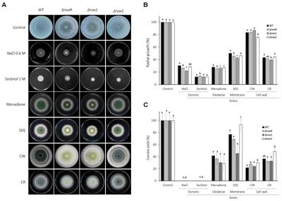The NADPH Oxidases Nox1 and Nox2 Differentially Regulate Volatile Organic Compounds, Fungistatic Activity, Plant Growth Promotion and Nutrient Assimilation in Trichoderma atroviride